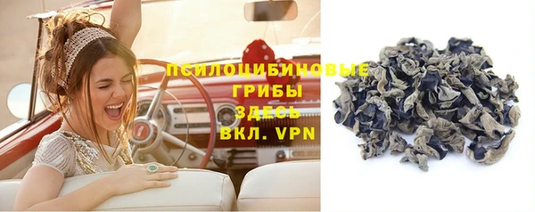 дурь Арсеньев