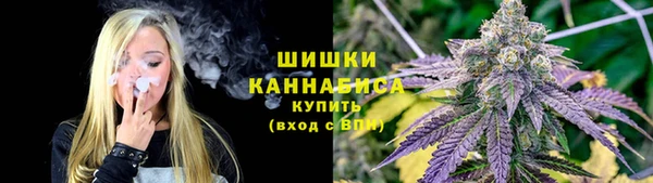 дурь Арсеньев