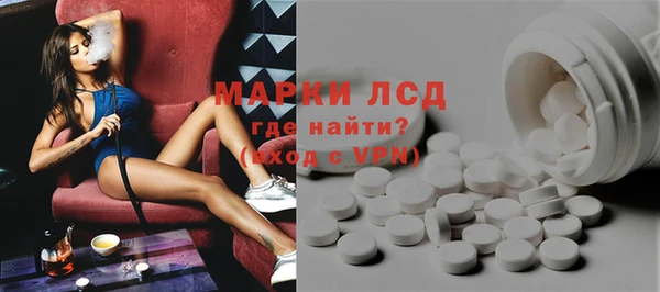 PSILOCYBIN Аркадак