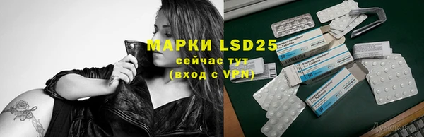PSILOCYBIN Аркадак