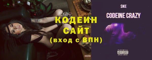 дурь Арсеньев