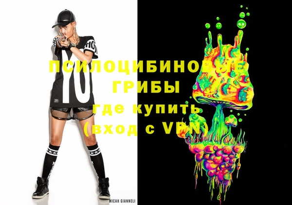 дурь Арсеньев